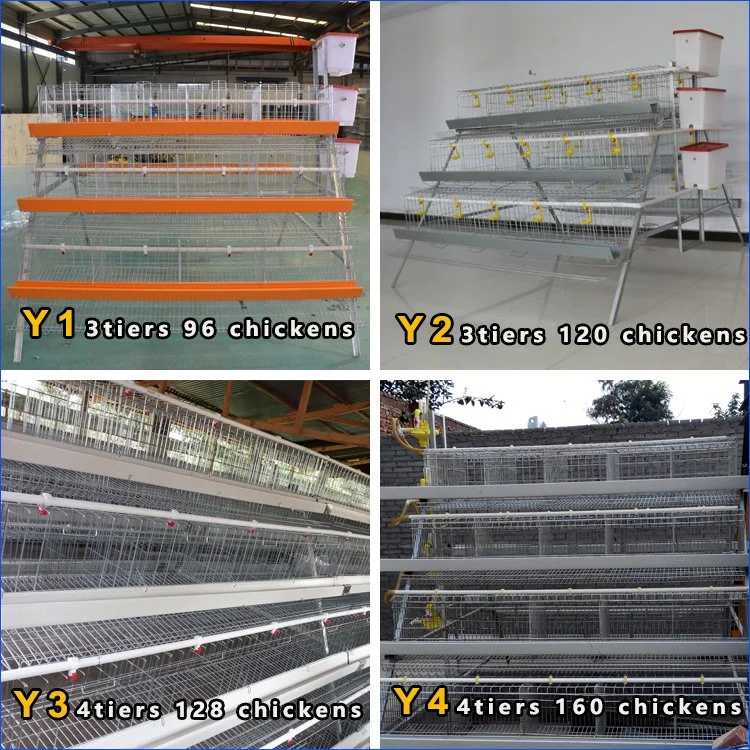 Factory Manufacture 4 Tiers 160 Capacity Battery Chicken Cages for Poultry Farm