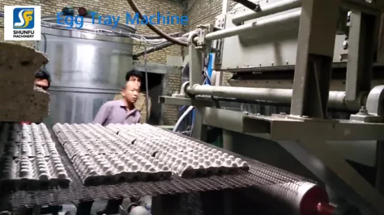 Ausrüstungsauskleidung für Eierherstellungsmaschinen aus Altpapierrecycling