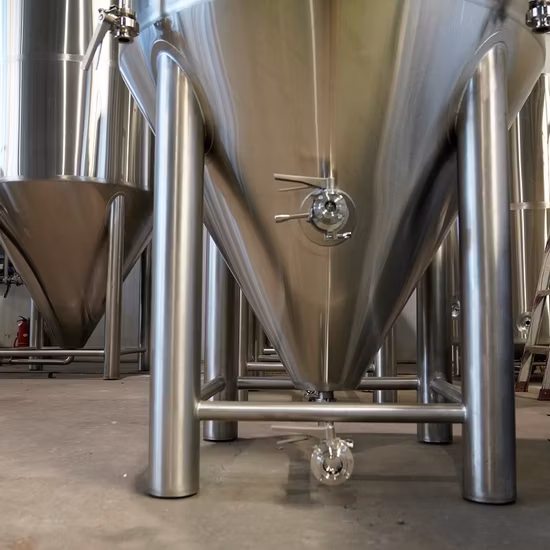 1000L Craft Brewery Bierfermenter aus Edelstahl